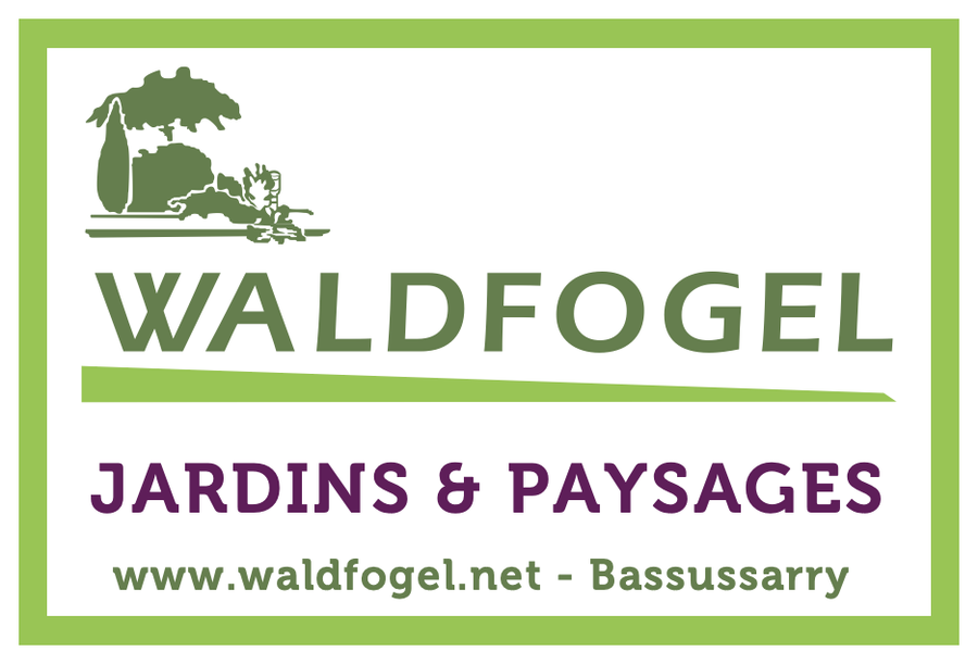 Waldfogel